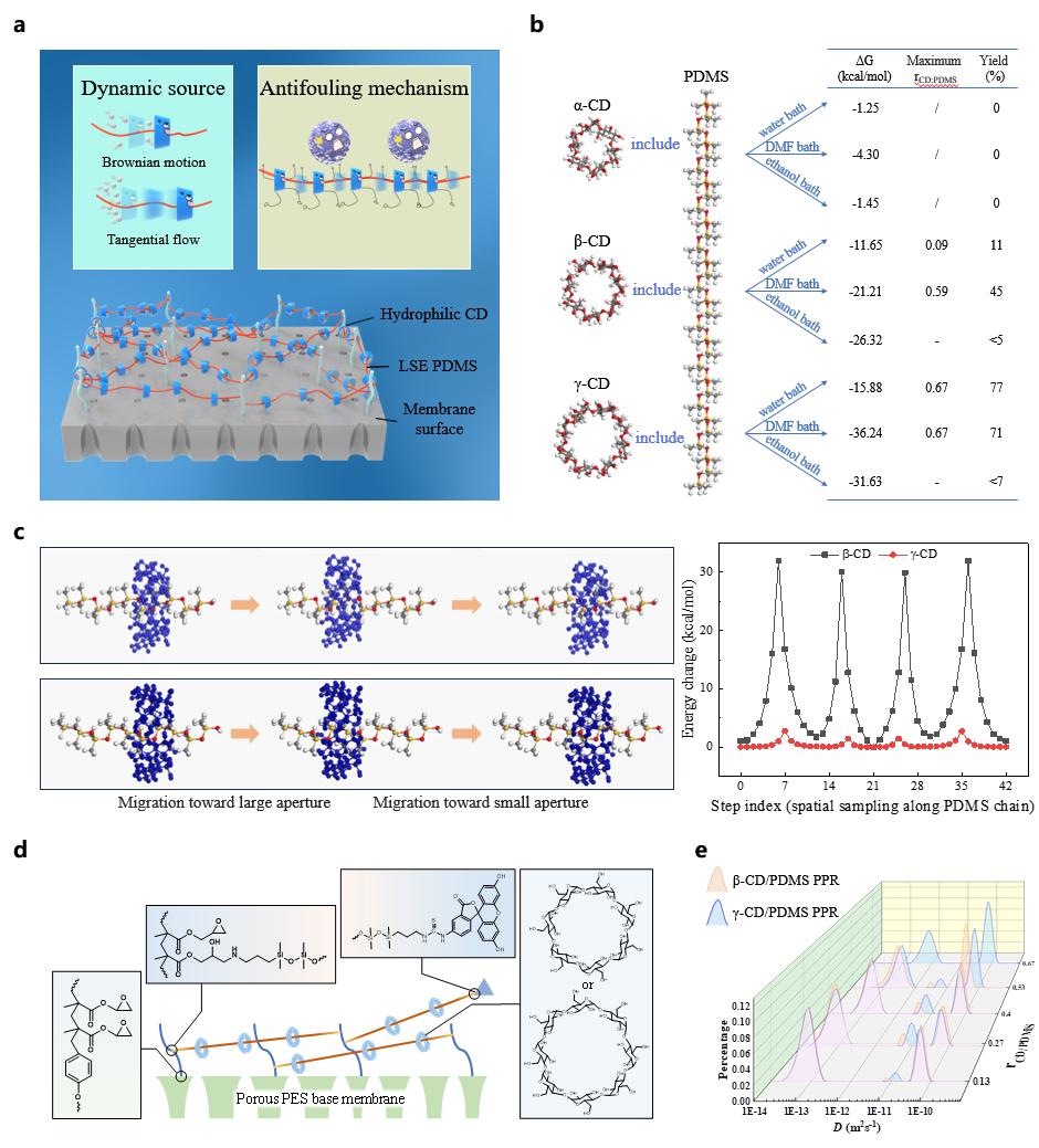 超分子結(jié)構(gòu)與動(dòng)態(tài)性模擬、表征